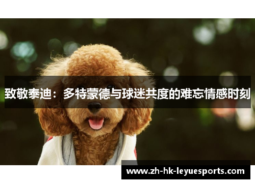 致敬泰迪：多特蒙德与球迷共度的难忘情感时刻